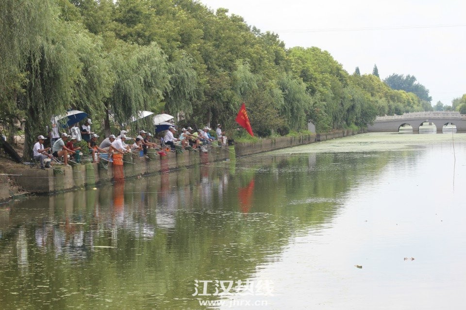 绿树成荫  小桥流水