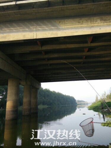 IMG20140728194624.jpg