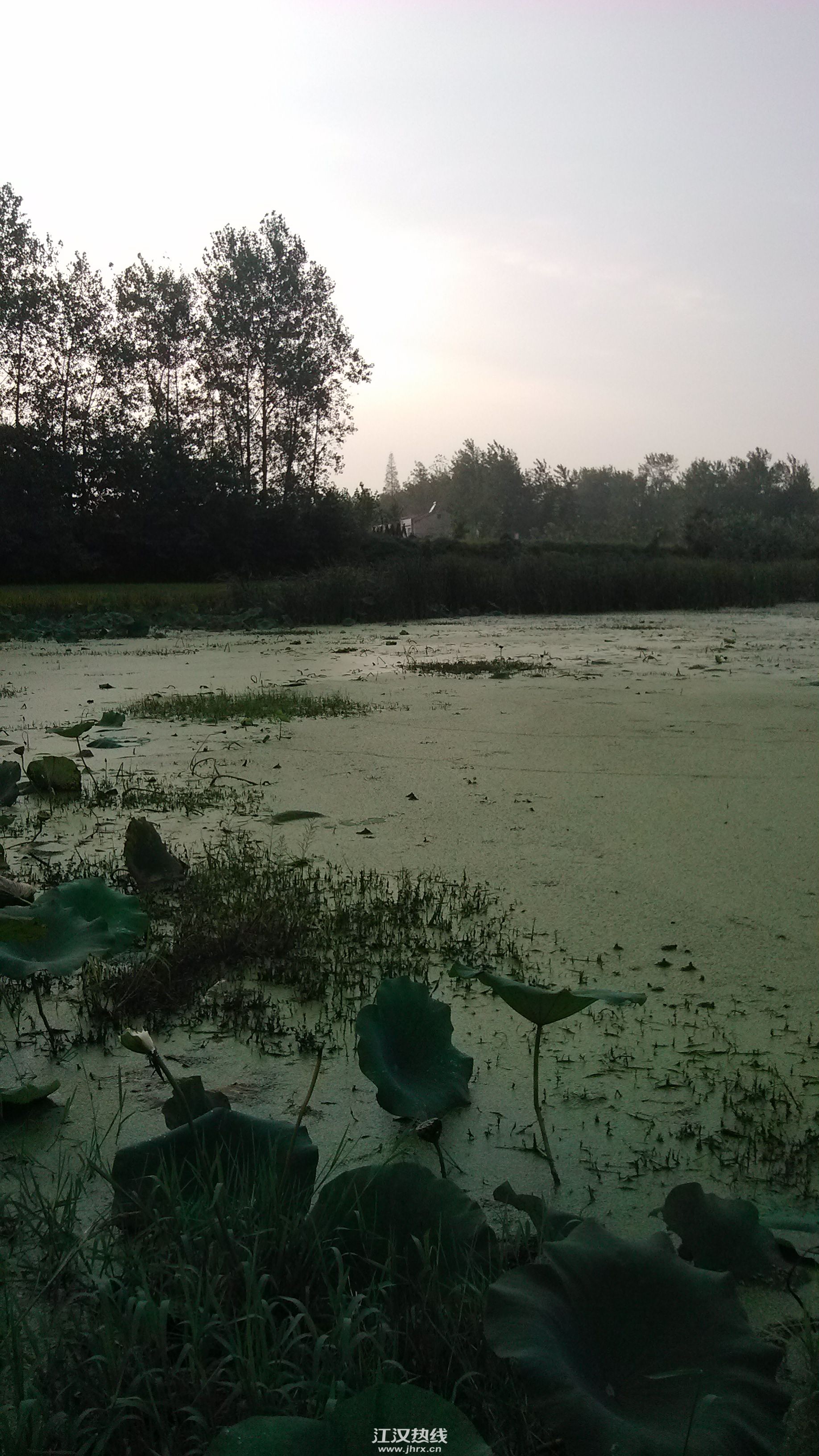 这是标准雷场！