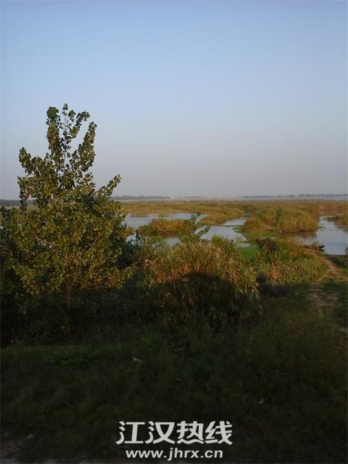 20141003_171816.jpg