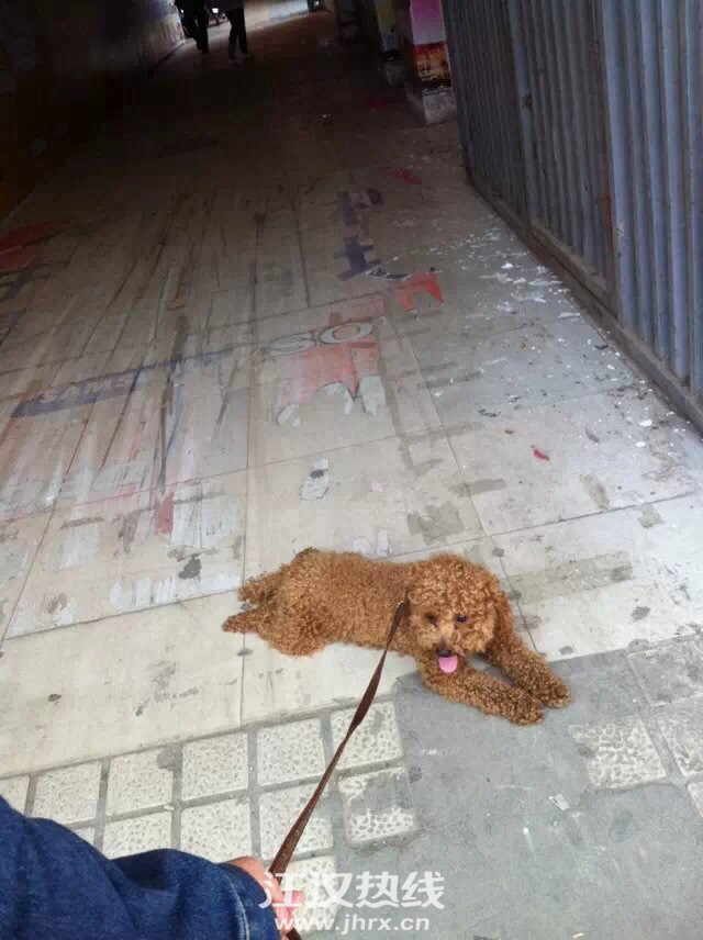 image.jpg