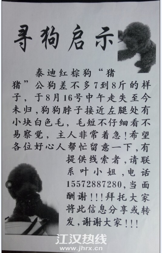 9O]`M{R{3R5RMW0TIJ@}AE0.jpg