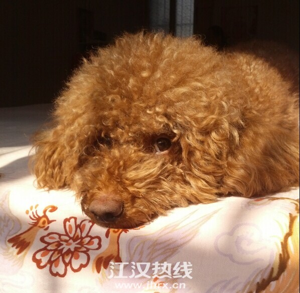 QQ图片20141026111844.jpg