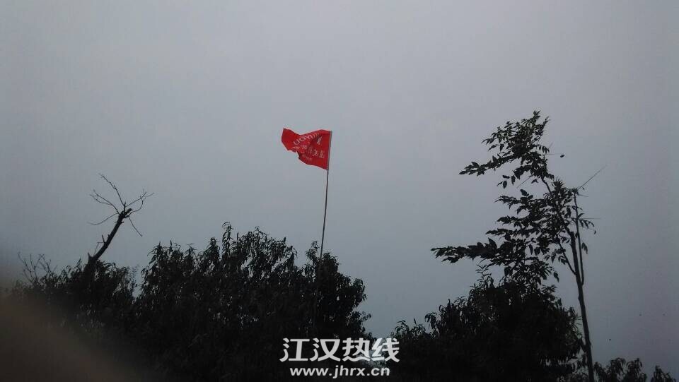 20141101114155.jpg