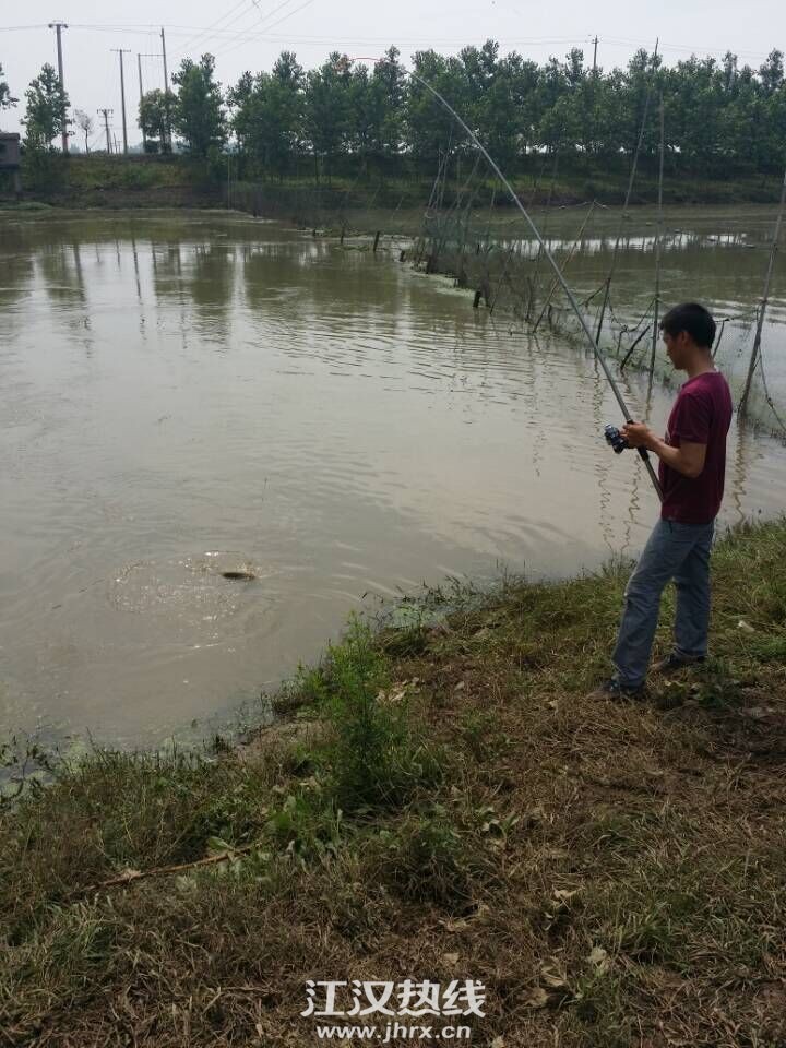 QQ图片20150609100236.jpg