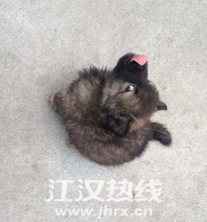 QQ图片20150621165411.jpg