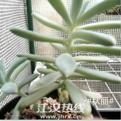 QQ图片20150701163110.png
