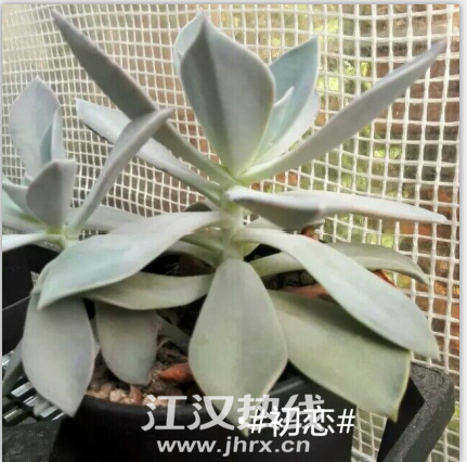 QQ图片20150701163142.png