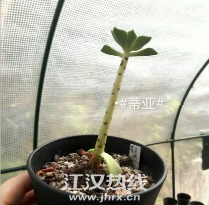 QQ图片20150701163258.png