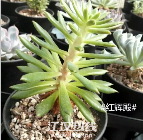 QQ图片20150701163421.png