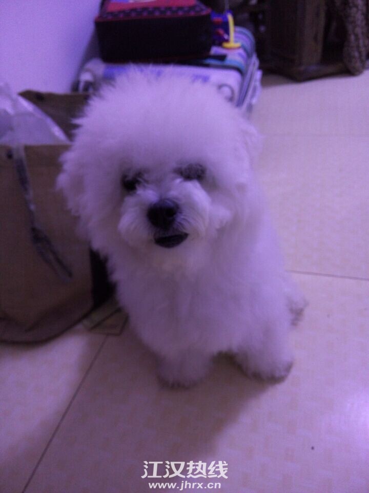 QQ图片20150630215317.jpg
