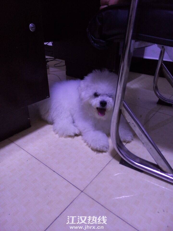 QQ图片20150630215335.jpg