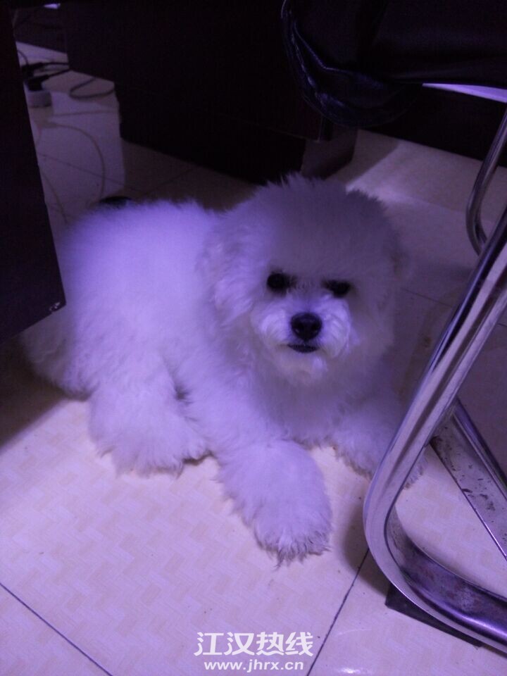 QQ图片20150630215342.jpg