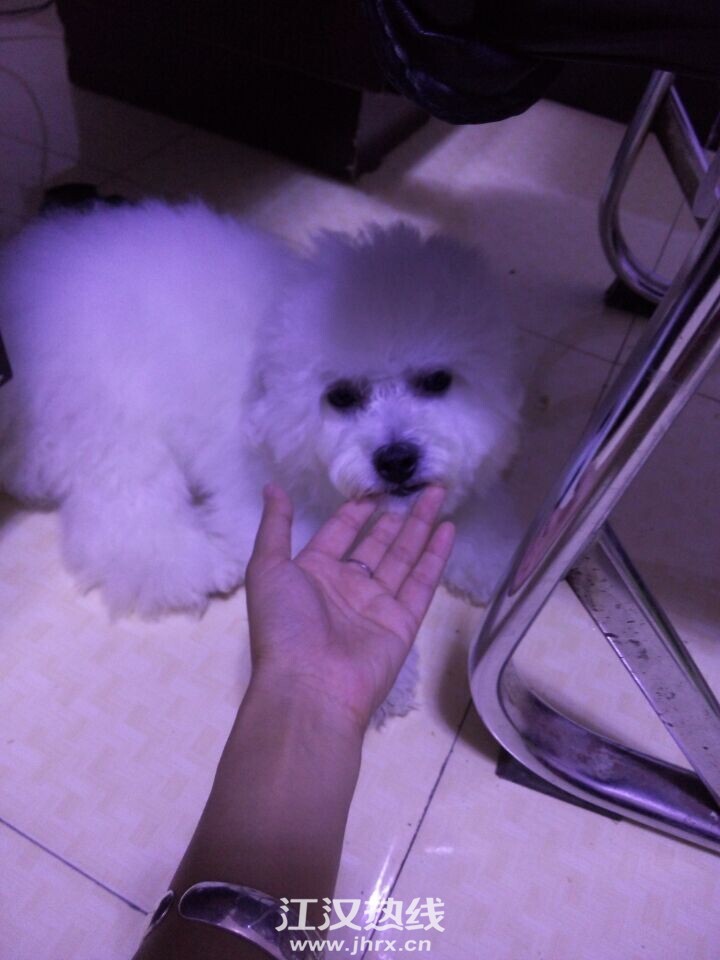 QQ图片20150630215347.jpg