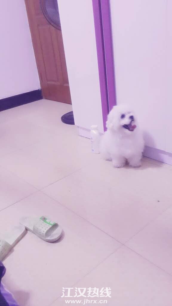 QQ图片20150630215352.jpg
