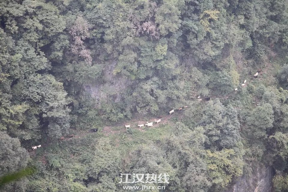 清江方山悬崖栈道