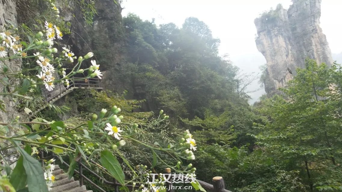 清江方山悬崖栈道