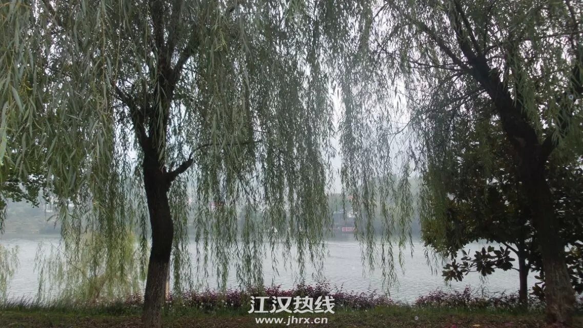 雨中的清江岸边