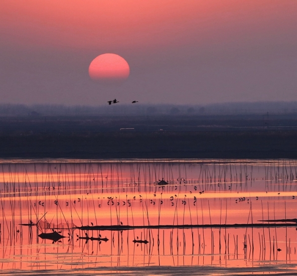 26湿地夕照.jpg