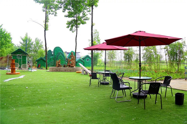 【亲子报名】摘蔬菜,捉鸭子,亲子厨房,自助烧烤