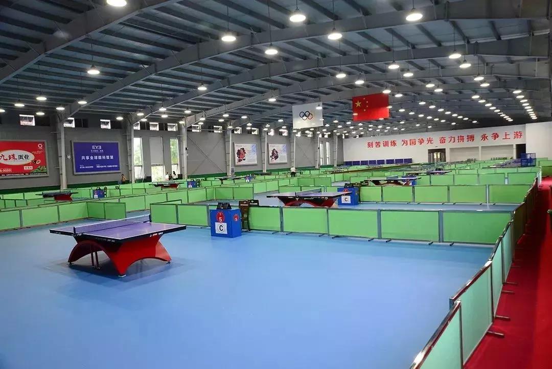 城北体育公园乒乓球馆图片