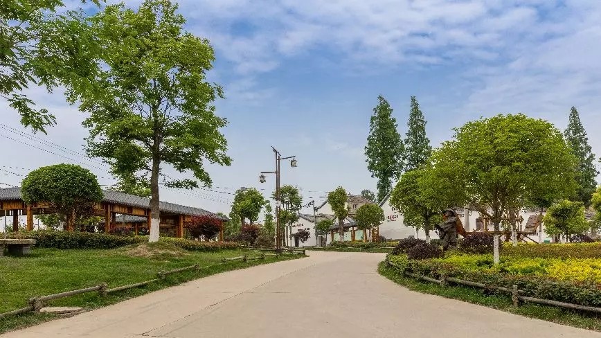 2018年6月,全市"红色头雁"工程启动后,他回到自己的老家——蔡滩村