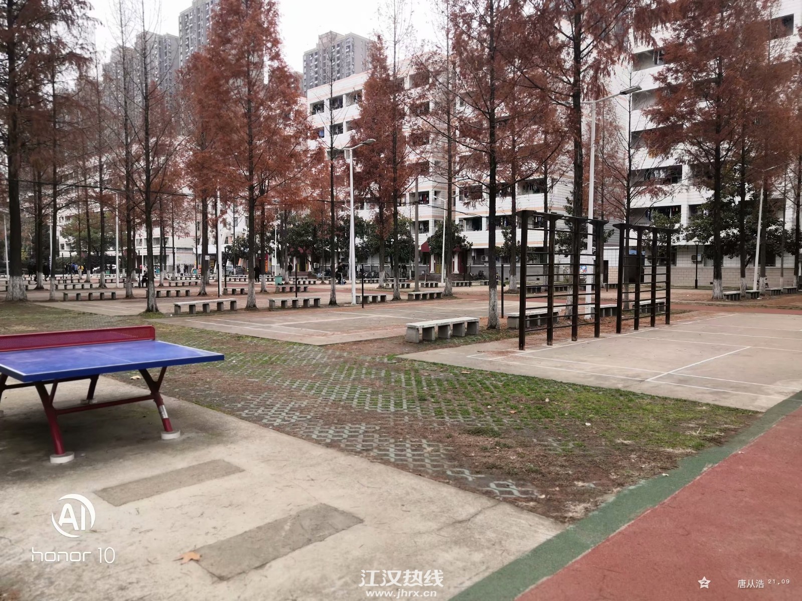 冰冰球场.jpg