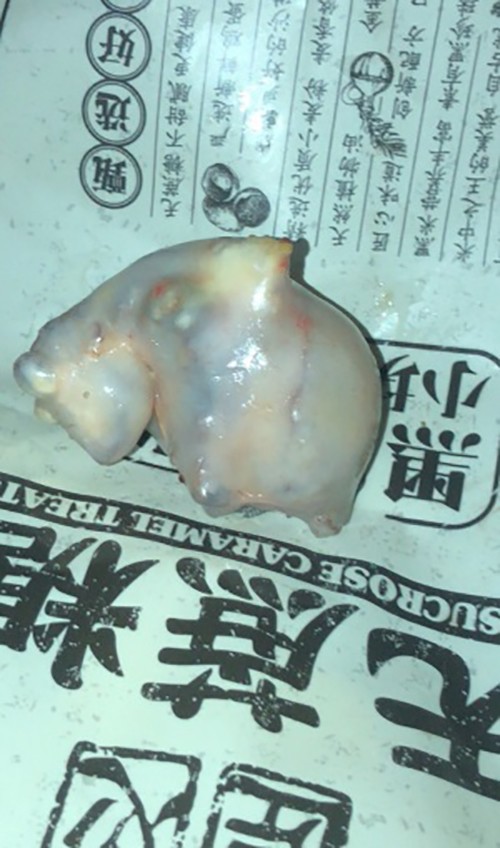未标题-3.jpg