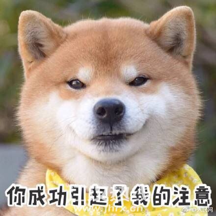 202001144365191578970147935785.jpg