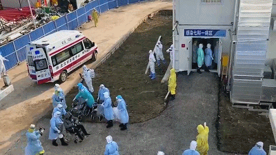 640 (1).gif