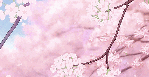 640 (3).gif
