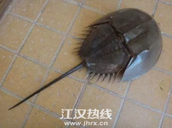 QQ浏览器截图20200205144231.png