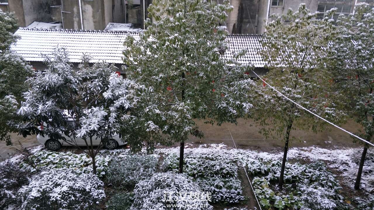 20200215_389446_1581760999093.jpg