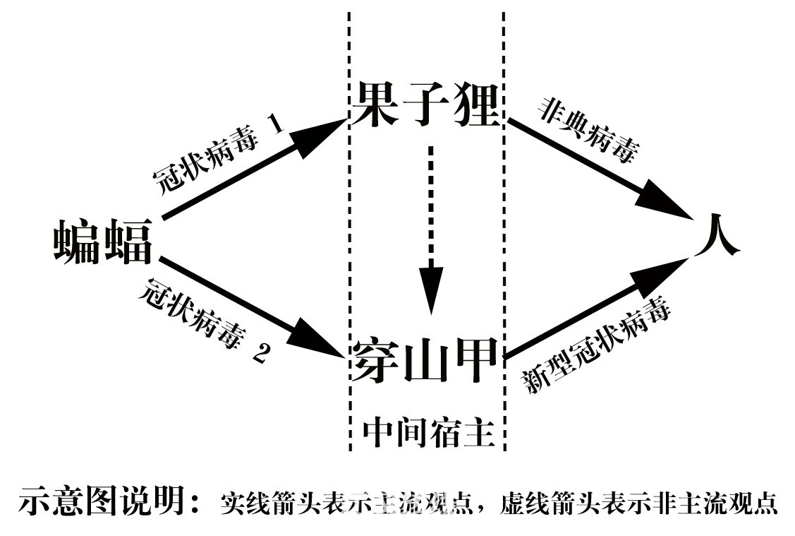 病毒图例说明01.jpg