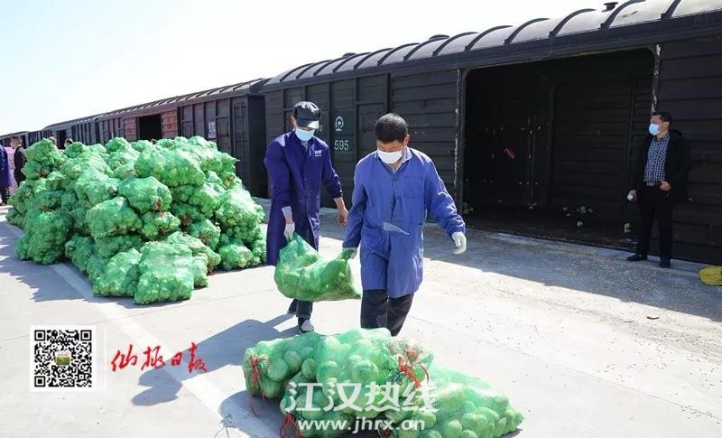 微信图片_20200219150642.jpg