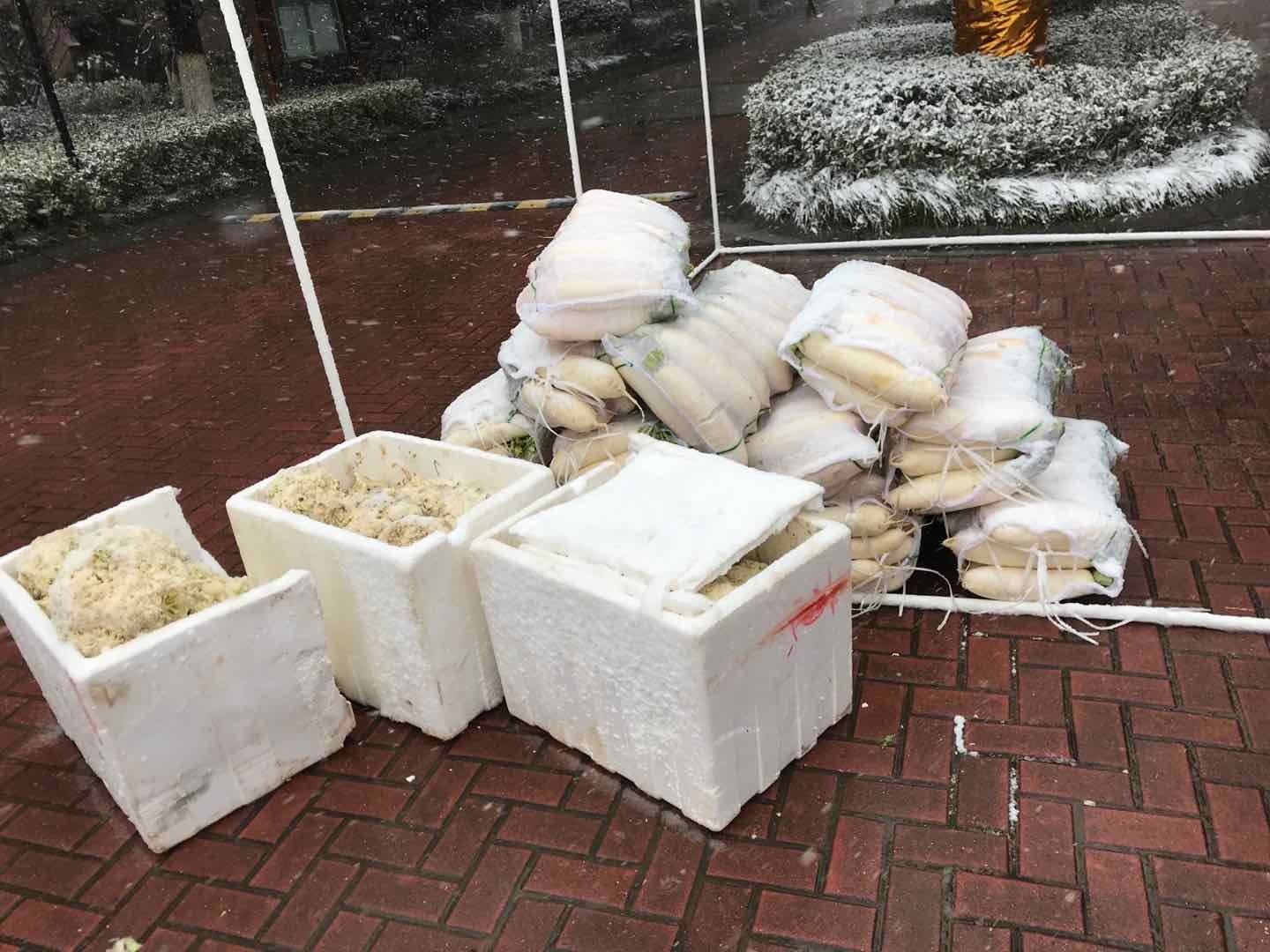 微信图片_20200220023126.jpg
