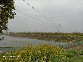 20200328_443996_1585407549055.jpg
