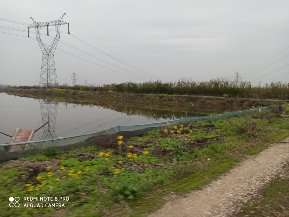 20200328_443996_1585407549066.jpg