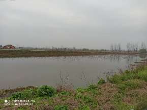 20200328_443996_1585407549071.jpg