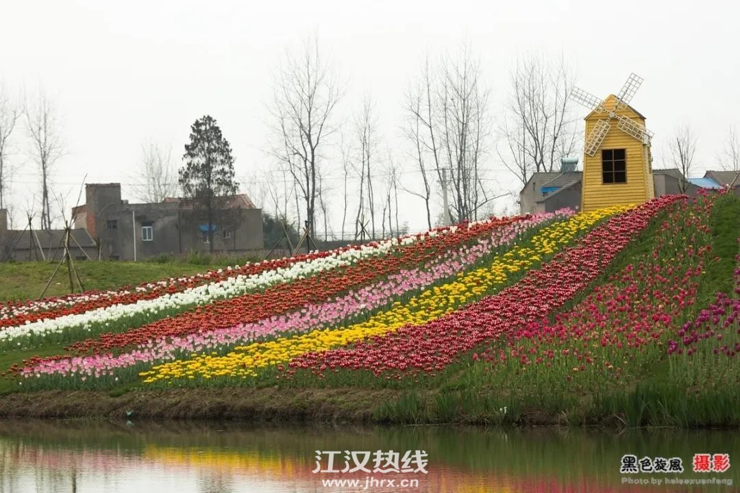 微信图片_20200401121416.jpg