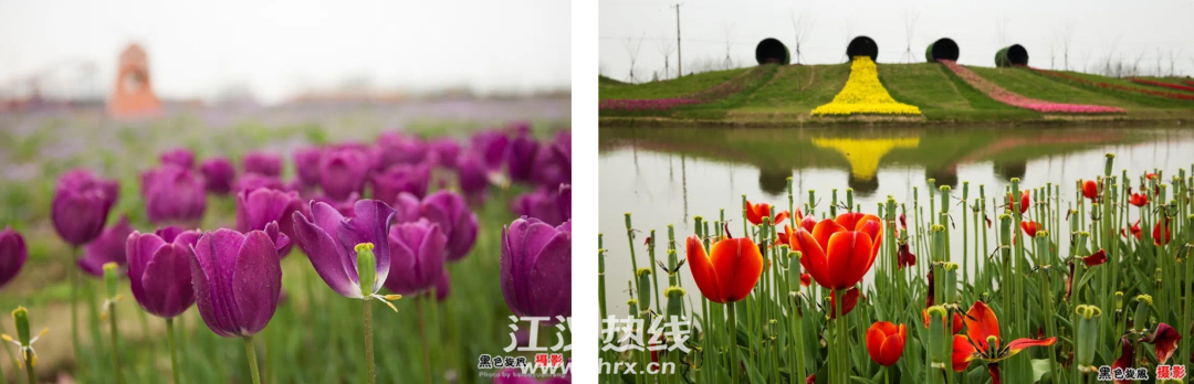 微信图片_20200401121450.png