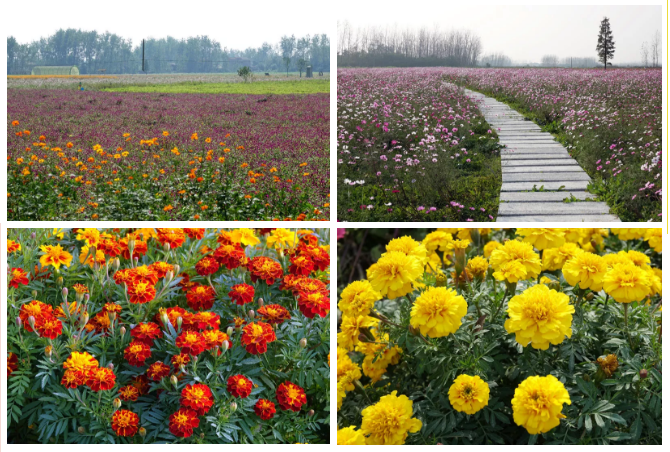 QQ截图20200401121651.png