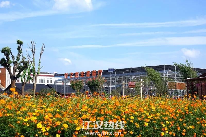微信图片_20200401122029.jpg