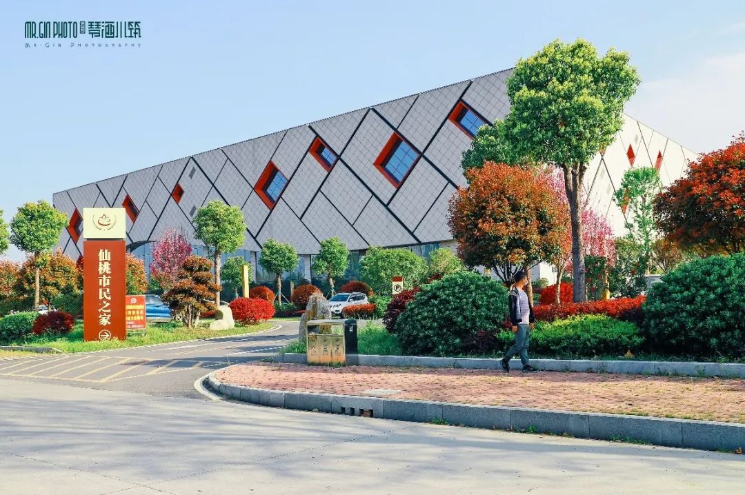 171557cgmwpk9ag9pu9re5.jpg