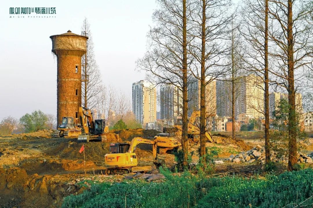 171612fwsc8wwf88wruc0s.jpg