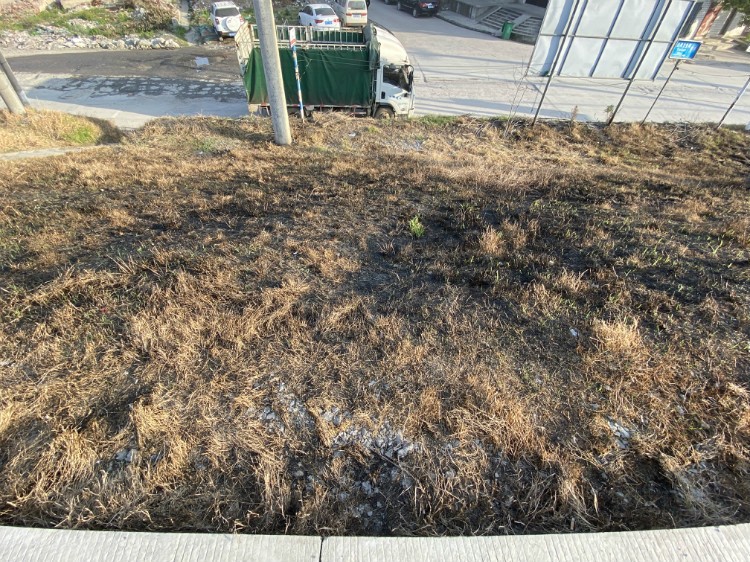 weixintupian_202004150957196.jpg
