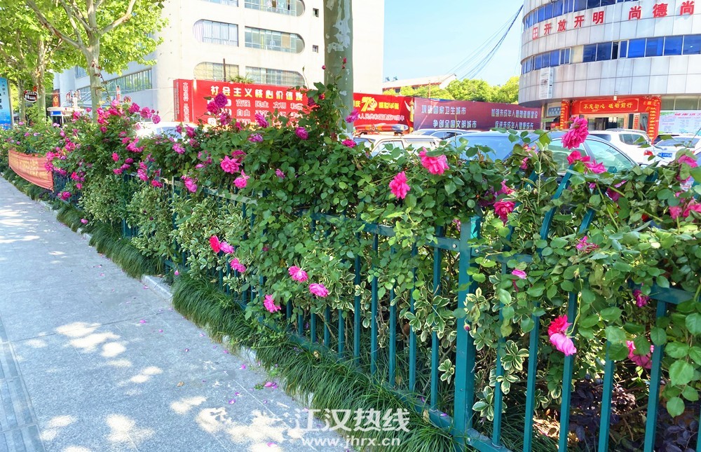 微信图片_20200424155533_副本.jpg