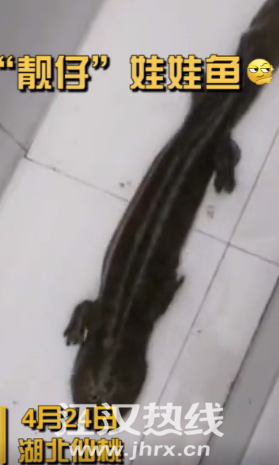 2345截图20200427135614.png