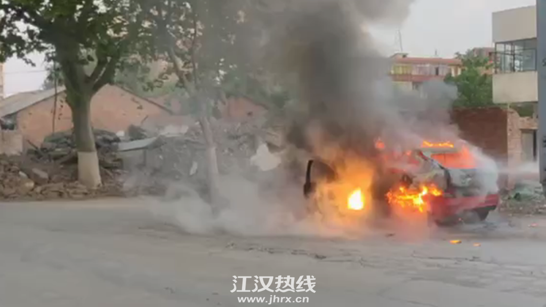 自然4.png