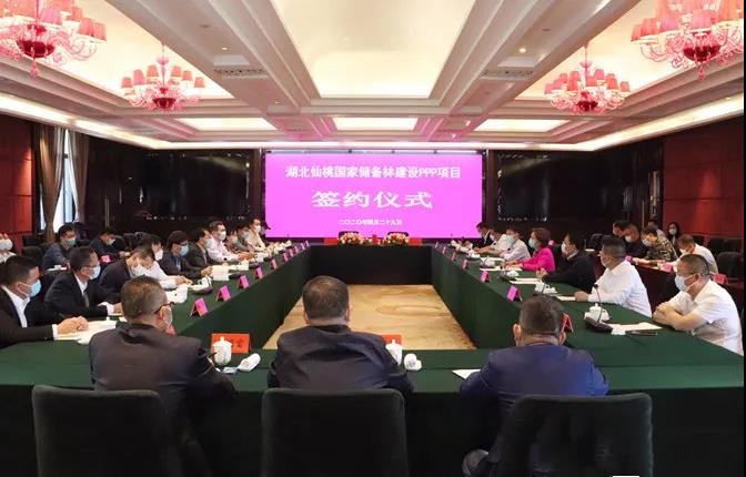 储备林1.jpg